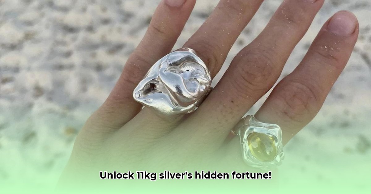 hoeveel-is-11-kilo-zilver-waard